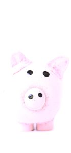 豚のぬいぐるみ1