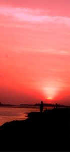 ピンクのサンセット1