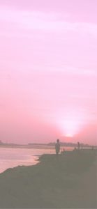 ピンクのサンセット2