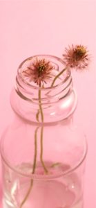 瓶に挿したピンクの花2