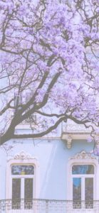 ピンクの窓枠の家1