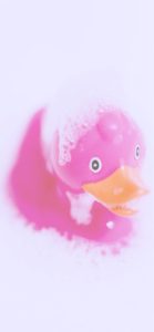 ピンクのあひるのおもちゃ3