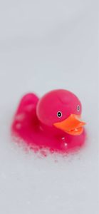 ピンクのあひるのおもちゃ2