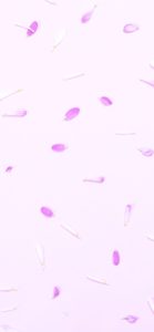 ピンクの花びら1