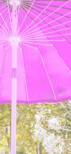 ピンクの傘1