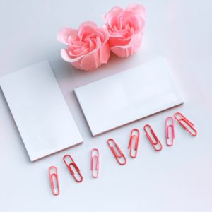 ピンクのバラとクリップ1