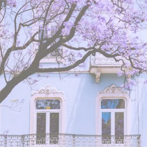 水色とピンクの家2