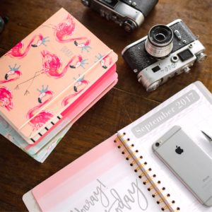 フラミンゴのノート1