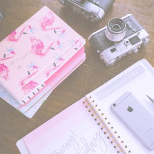 フラミンゴのノート2