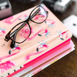 フラミンゴのノートとめがね1