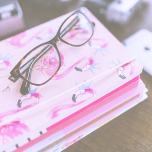 フラミンゴのノートとめがね2