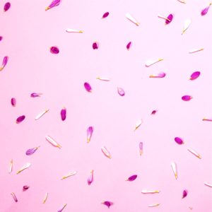 ピンクの花びら模様1