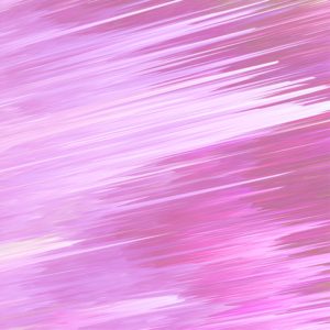 ピンクのライン2