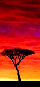 アフリカのサンセット2