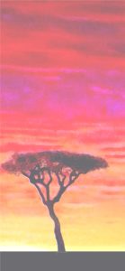 アフリカのサンセット1