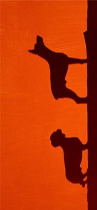 犬のシルエット1