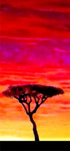 アフリカの夕日