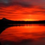 iPhone11Pro・iPhoneXs・Xロック画面等のシンプルな赤の無料壁紙配信中