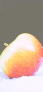 雪の上のりんご2