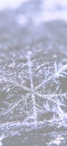 雪の結晶3