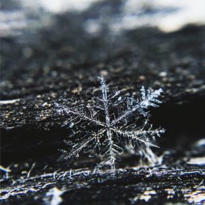 雪の結晶4