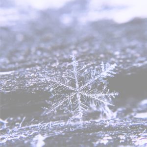 雪の結晶3
