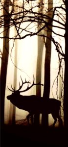 森とトナカイのシルエット1