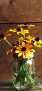瓶に刺した黄色い花2