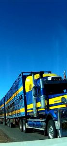 青いトレーラー1