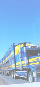 青いトレーラー2