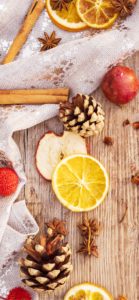 ドライフルーツ2