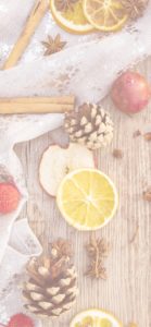 ドライフルーツ1