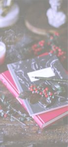 赤い実とノート1