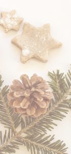 星のクッキーと松ぼっくり