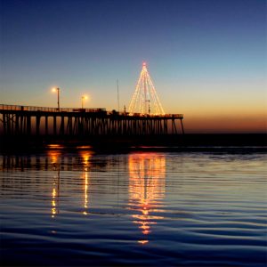 水辺のクリスマスツリー2