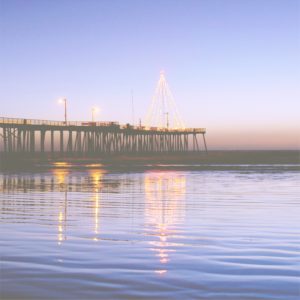 水辺のクリスマスツリー1