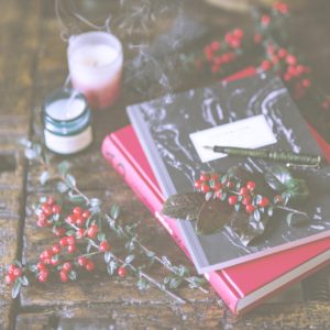 赤い実とノート1