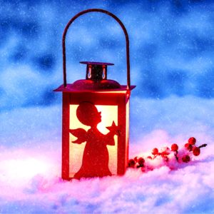 天使のランタン2