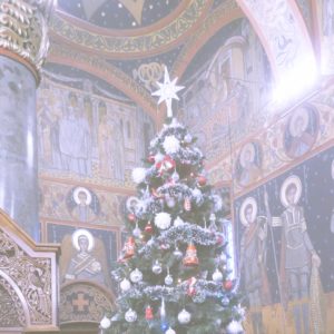 教会の中のクリスマスツリー2