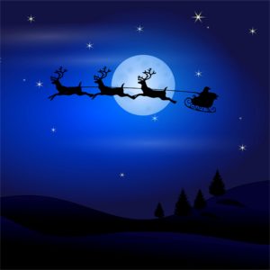 空を飛ぶトナカイのイラスト1