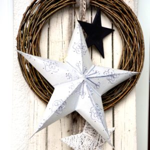 白い星のリース2