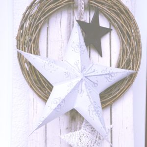 白い星のリース2