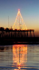 水辺のクリスマスツリー2