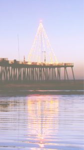 水辺のクリスマスツリー1