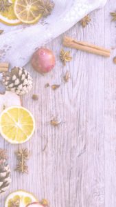 ドライフルーツと松ぼっくり1