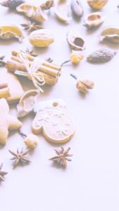 クッキーとシナモンスティック4