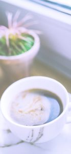 サボテンとコーヒー1