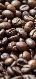 コーヒー豆2