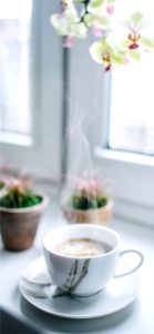 サボテンとコーヒー2