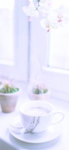 サボテンとコーヒー1